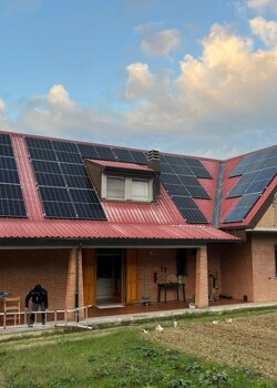 immagine whatsapp 2024-11-11 ore 17